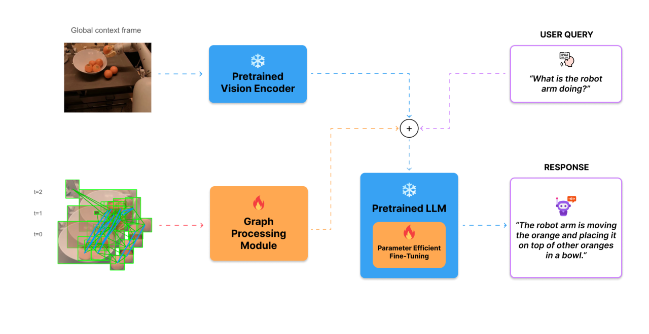 Dual-branch VideoLLM architecture